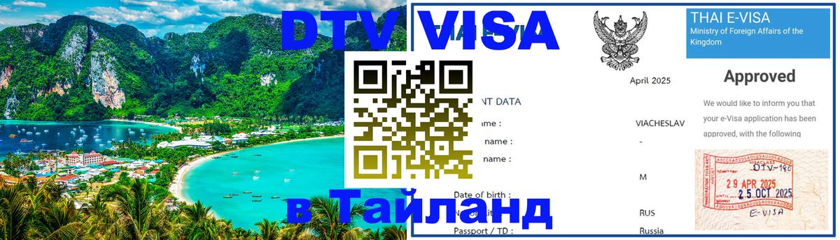 Оформление DTV визы под ключ: стоимость и тарифы, только загранпаспорт - 09.01.2026 